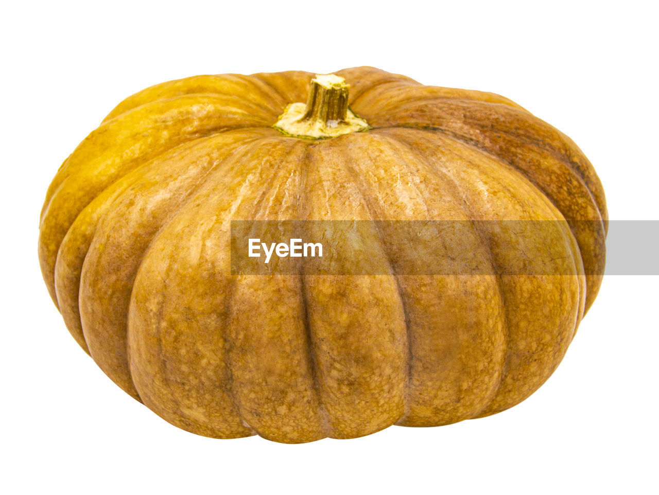 CLOSE-UP OF PUMPKIN AGAINST YELLOW BACKGROUND