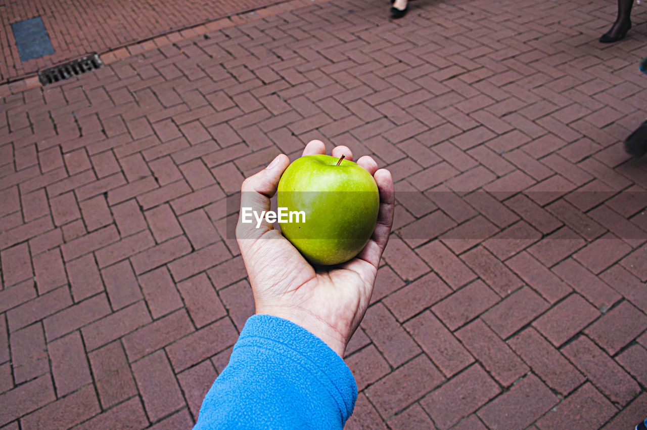 High angle view of person holding apple on street