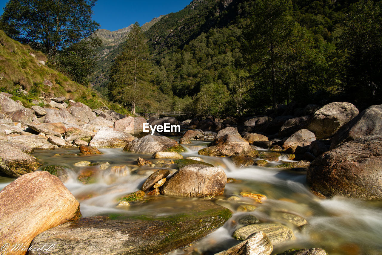 Stream flowing through rocks in forest