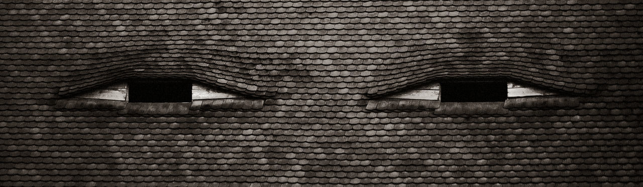 FULL FRAME SHOT OF ROOF TILES