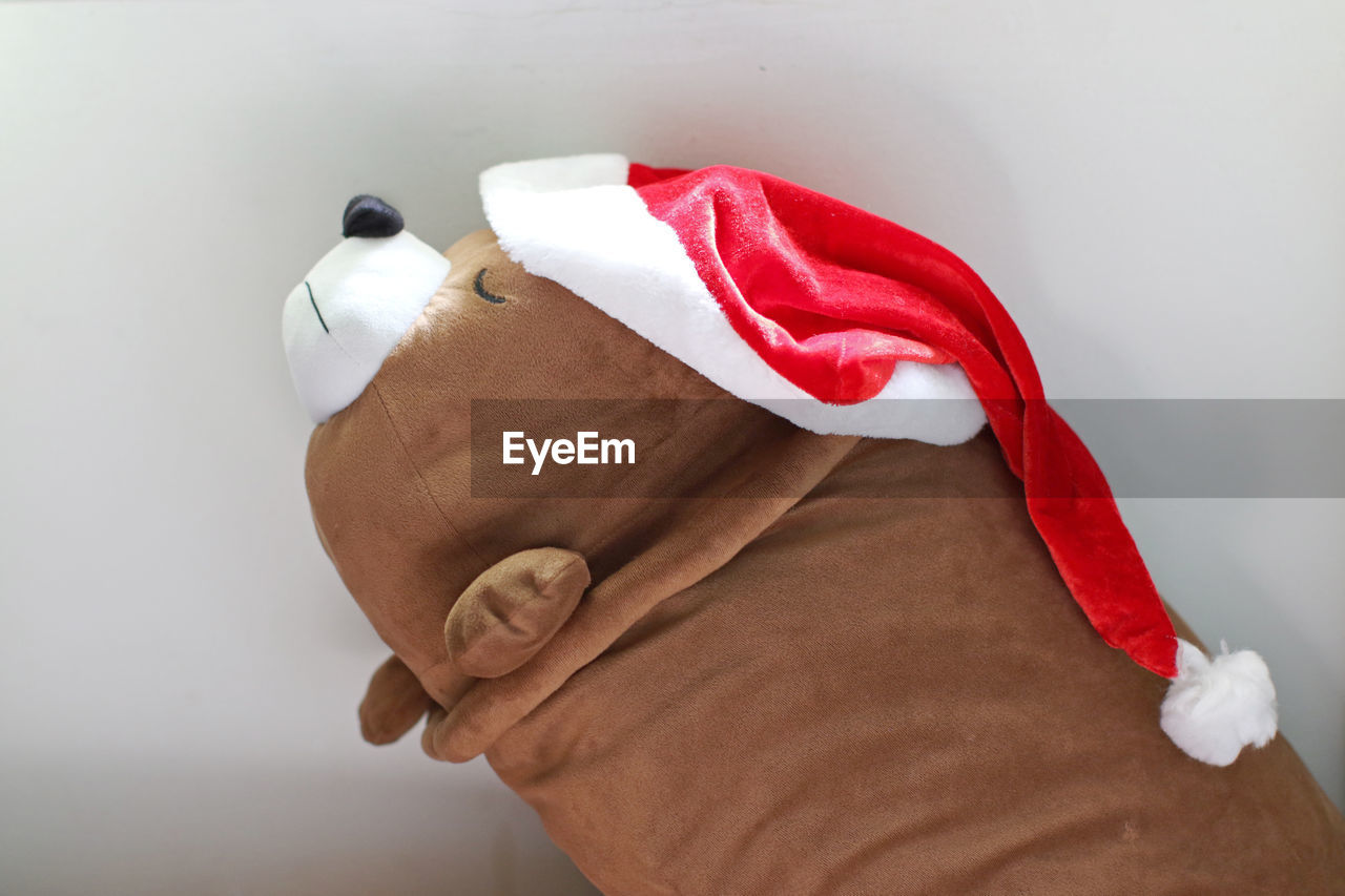 Close-up of brown stuffed toy with santa hat against white background