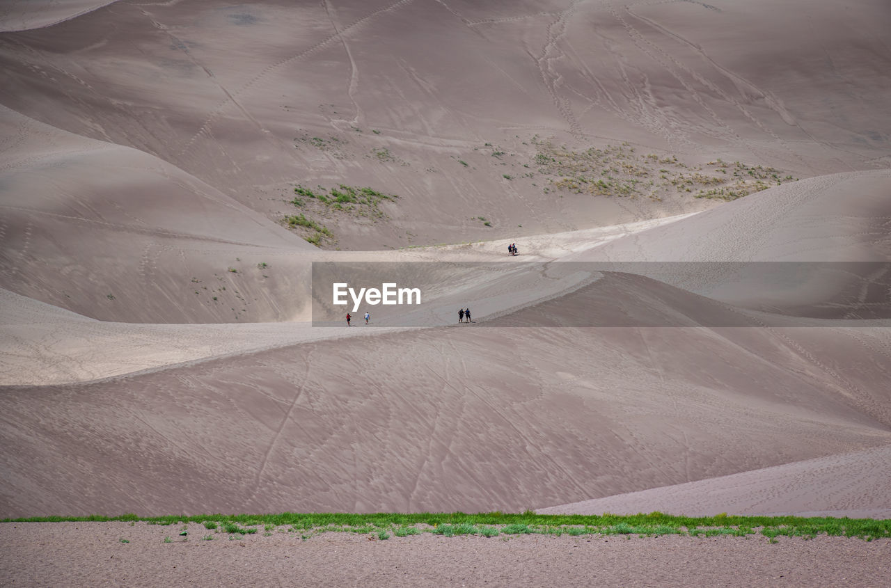 Scenic view of sand dunes