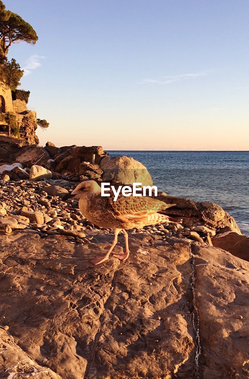 Rock formation on beach against sky