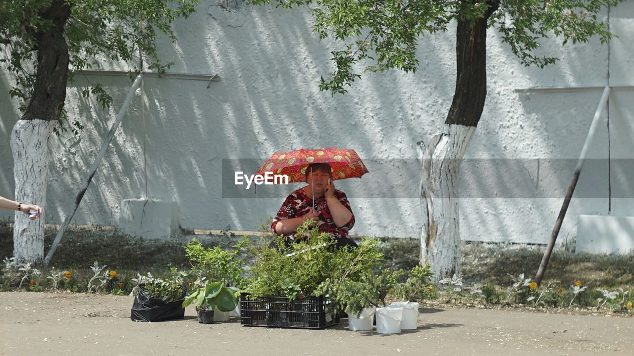 Vendor with umbrella selling plants while sitting on street