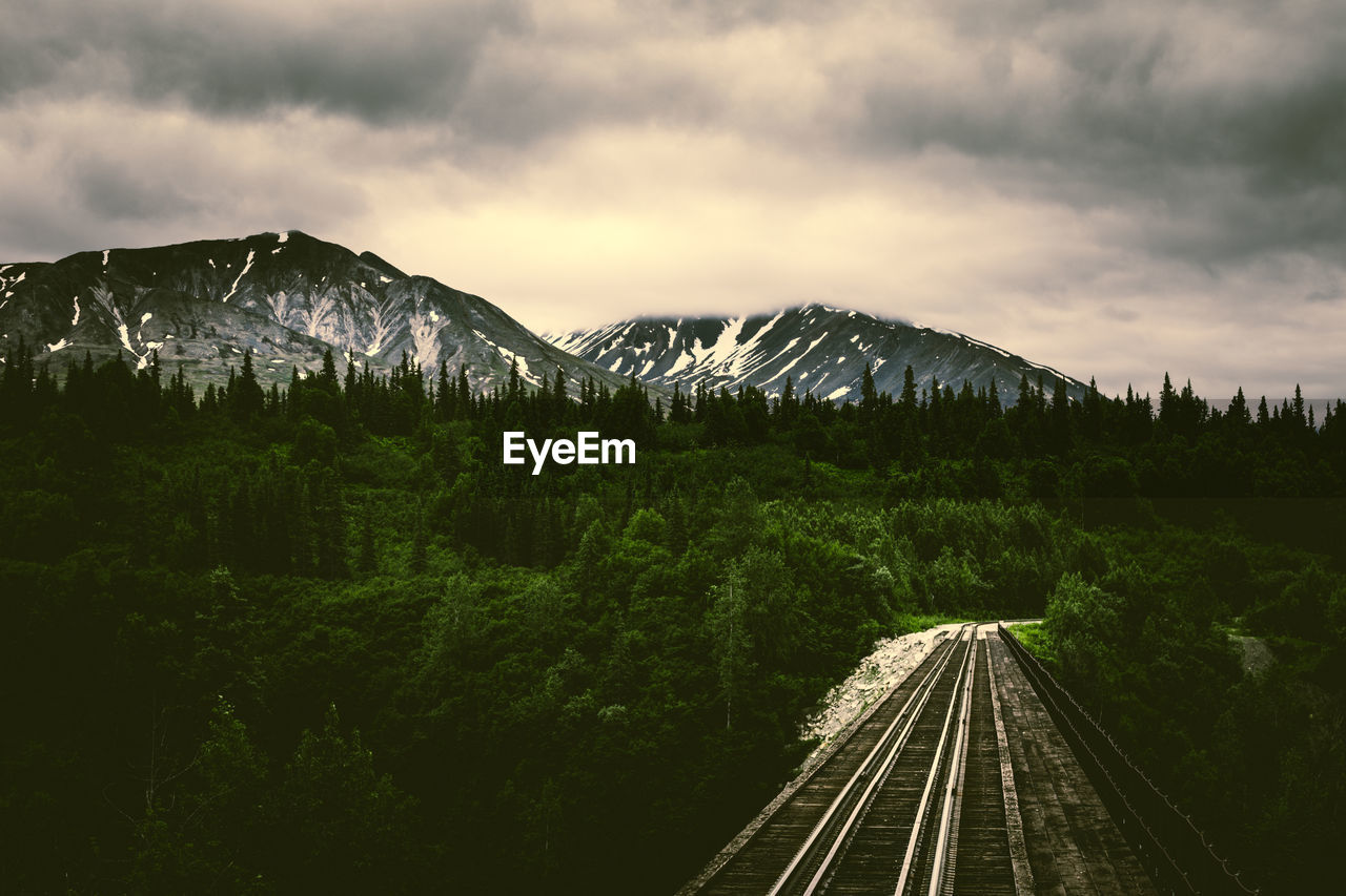 Railroad track to denali national park