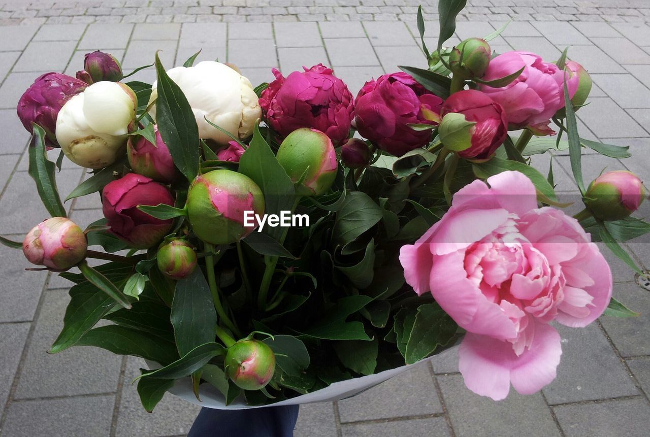High angle view of peonies in bouquet over cobblestone street