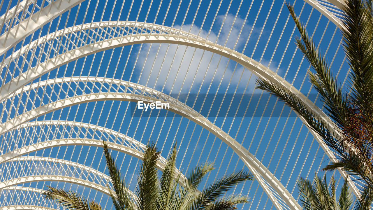 Low angle view of palm trees against blue sky