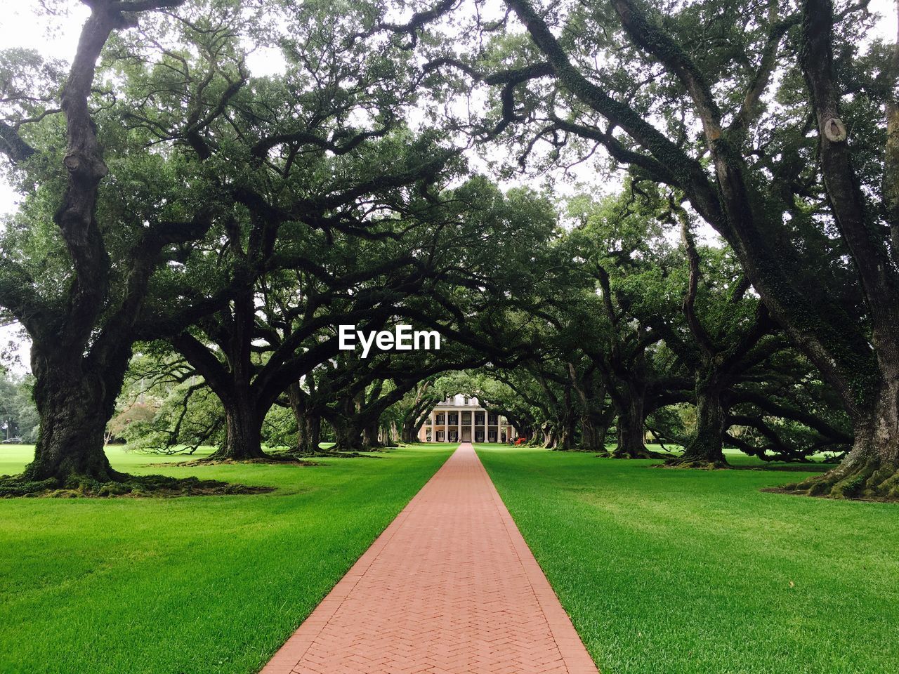 Oak alley plantation en louisiane