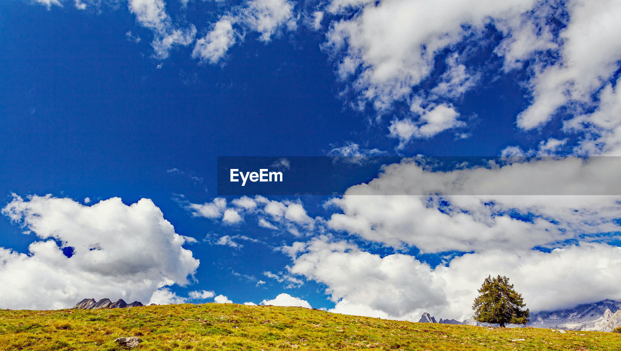 LOW ANGLE VIEW OF LANDSCAPE AGAINST BLUE SKY