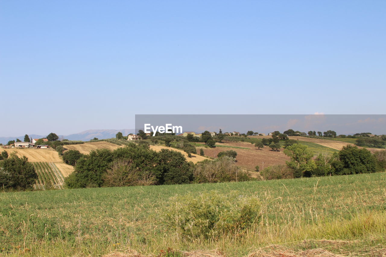 Scenic view of landscape against blue sky