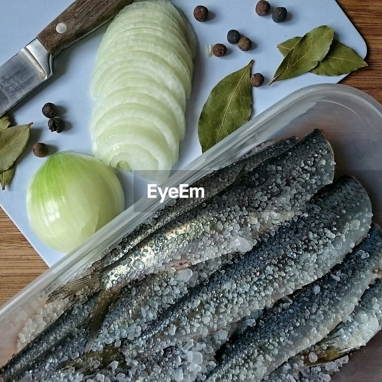 Close-up of fish in bowl