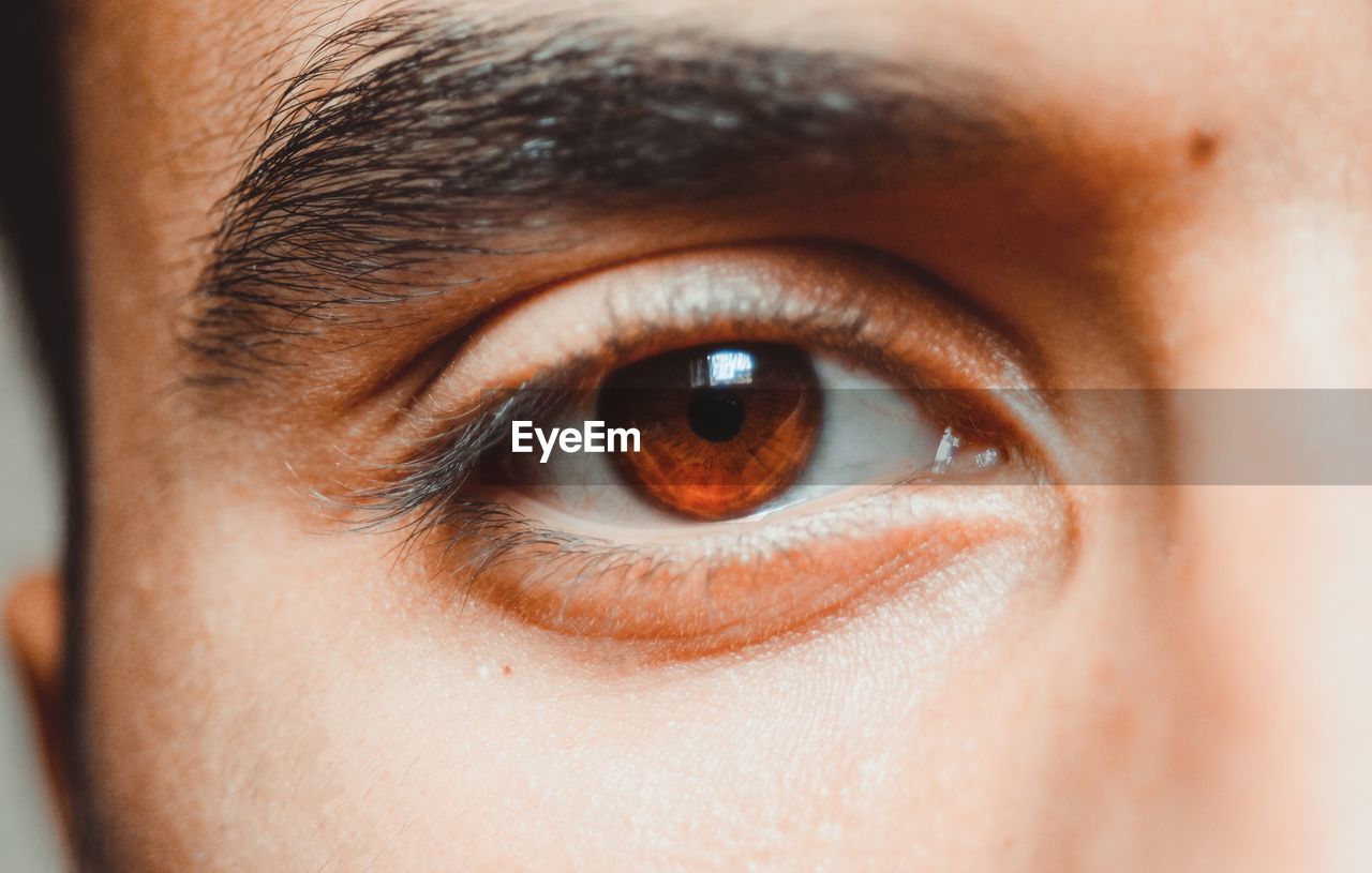 Cropped portrait of man eye