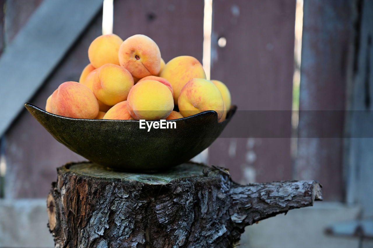 Close-up of fruits in bowl