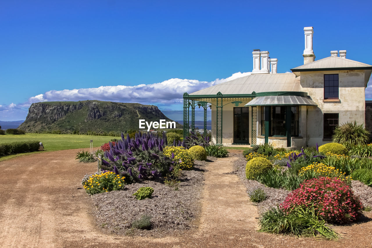 FLOWERING PLANTS BY BUILDING AGAINST SKY