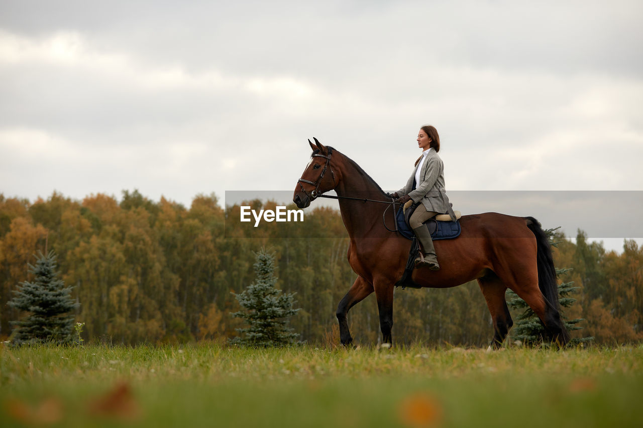 horse running on field against sky