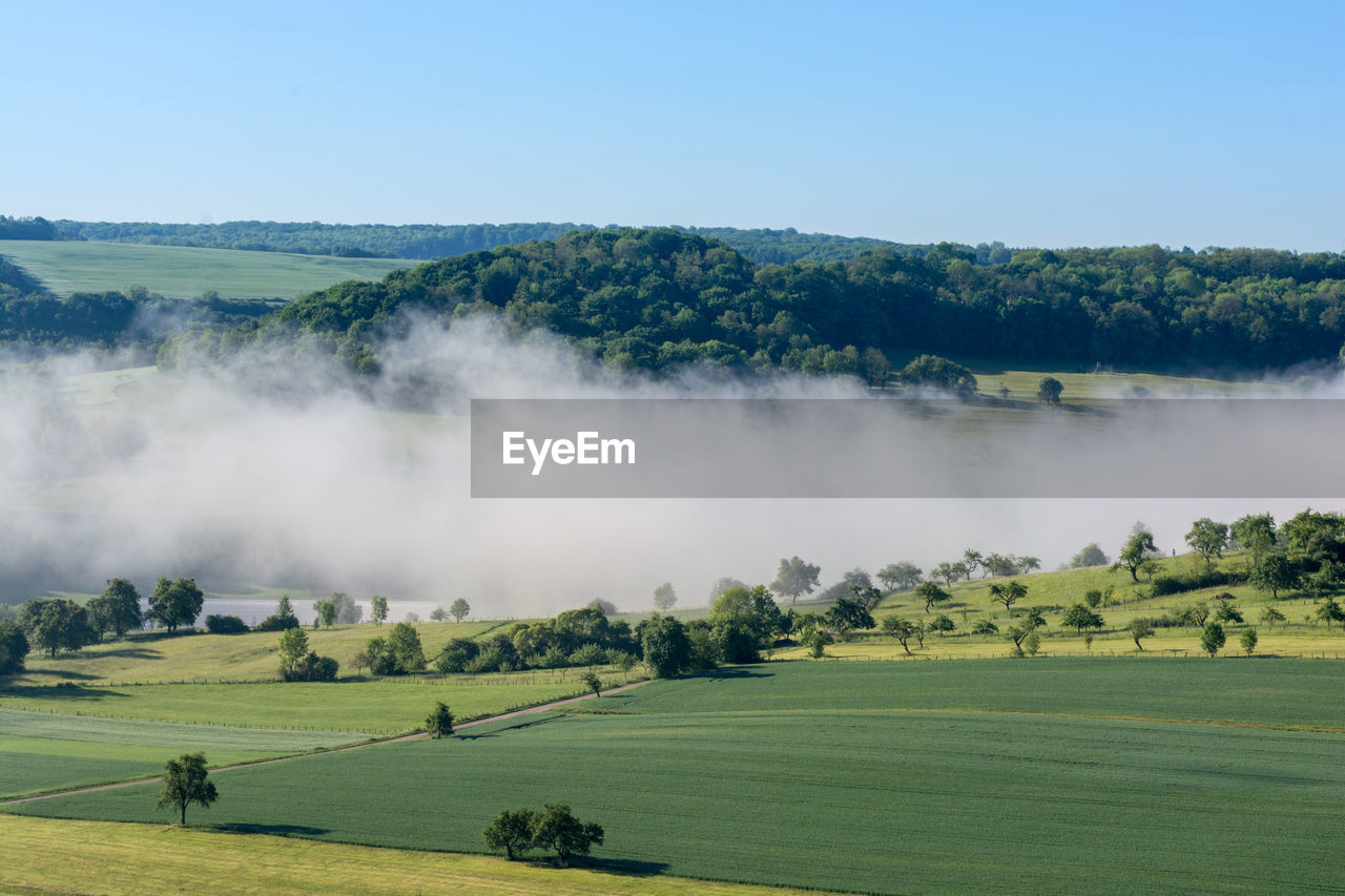 Field against sky during foggy weather