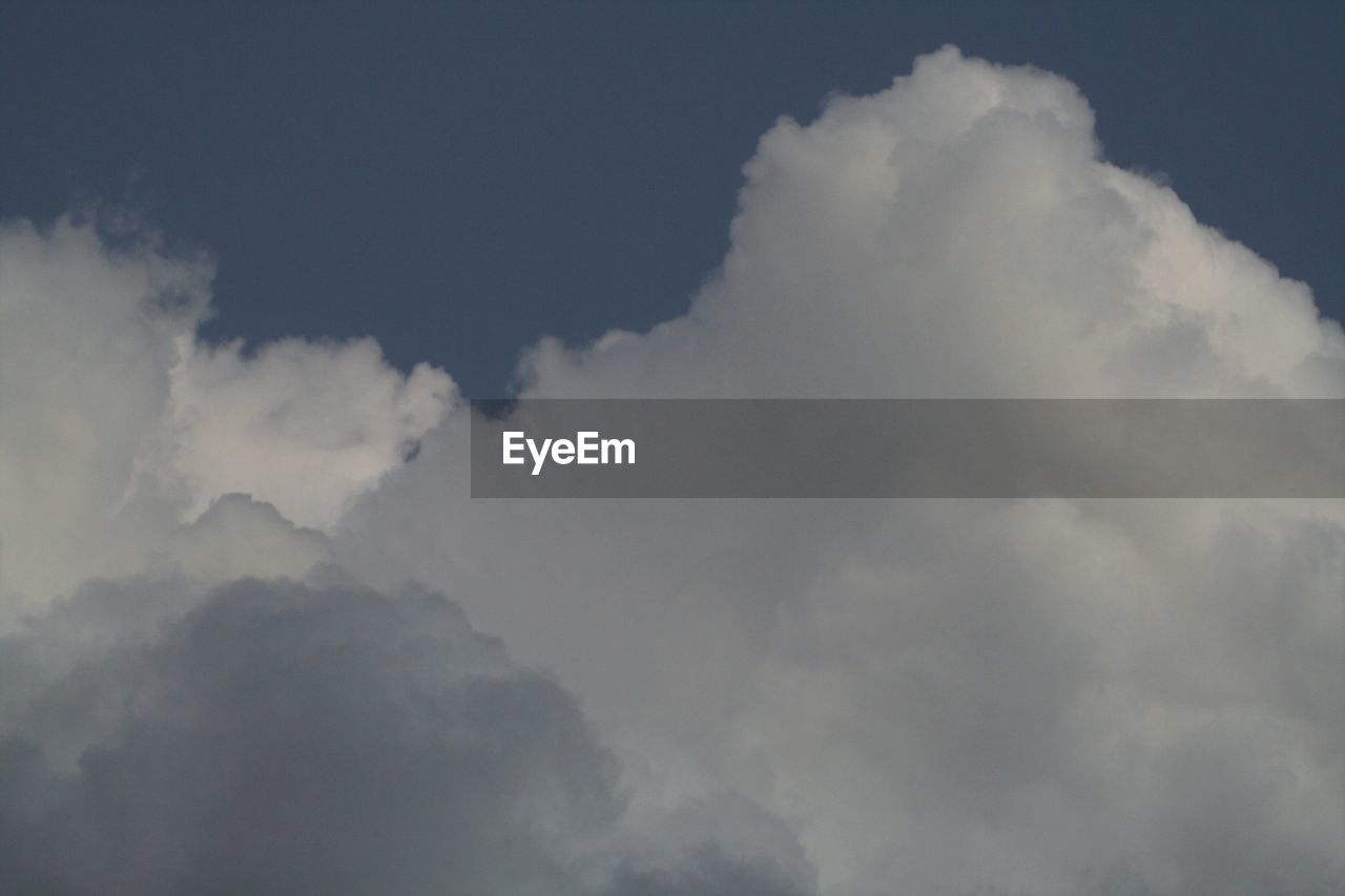 Low angle view of tree against sky