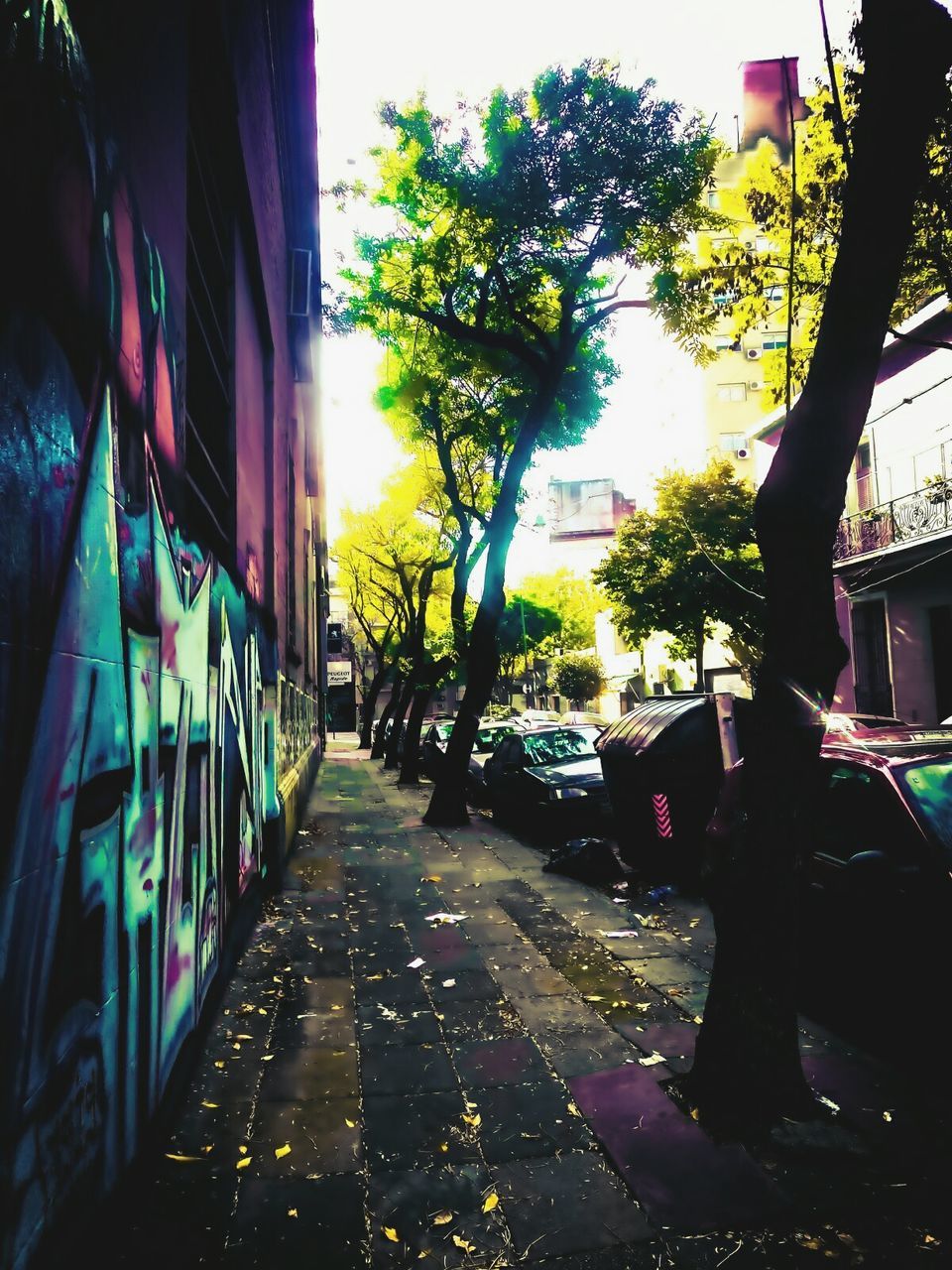 ROAD LEADING TOWARDS BUILDINGS