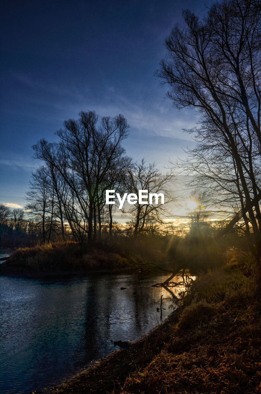 Silhouette of bare trees by lake against sky