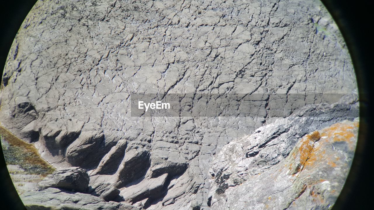 HIGH ANGLE VIEW OF ROCK ON TREE