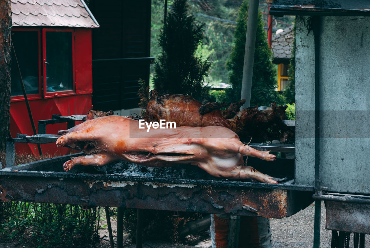 Close-up of pig meat on barbecue