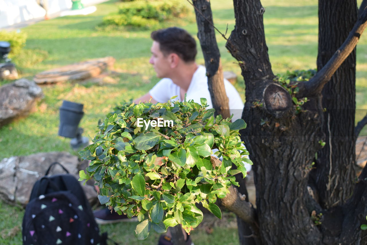 Close-up of leaves on tree trunk with man in background