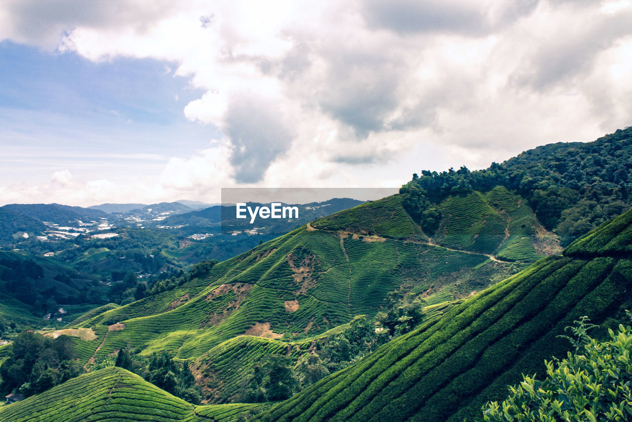 Scenic view of landscape against sky, tea plantation, cameron highlands, pahang malaysia