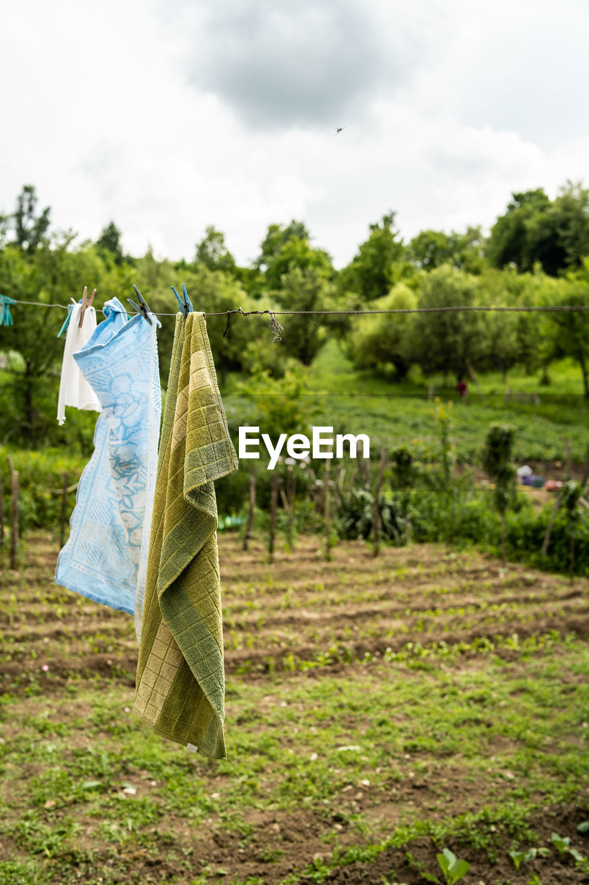 CLOTHES DRYING ON FIELD AGAINST TREES AND SKY