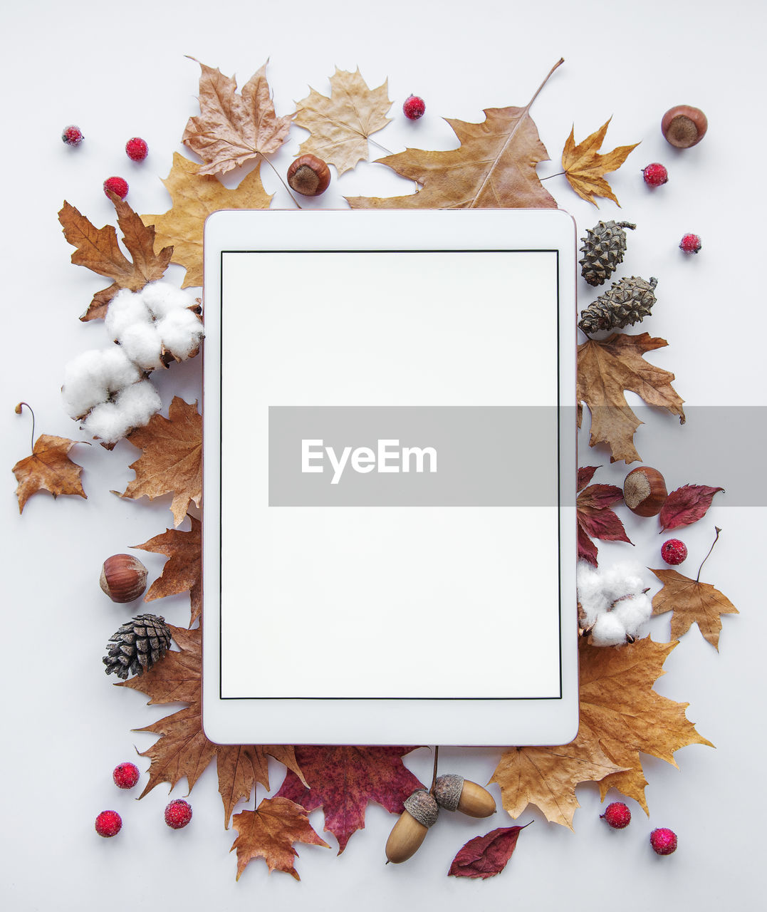 Autumn frame. tablet on a white background with colorful autumn leaves