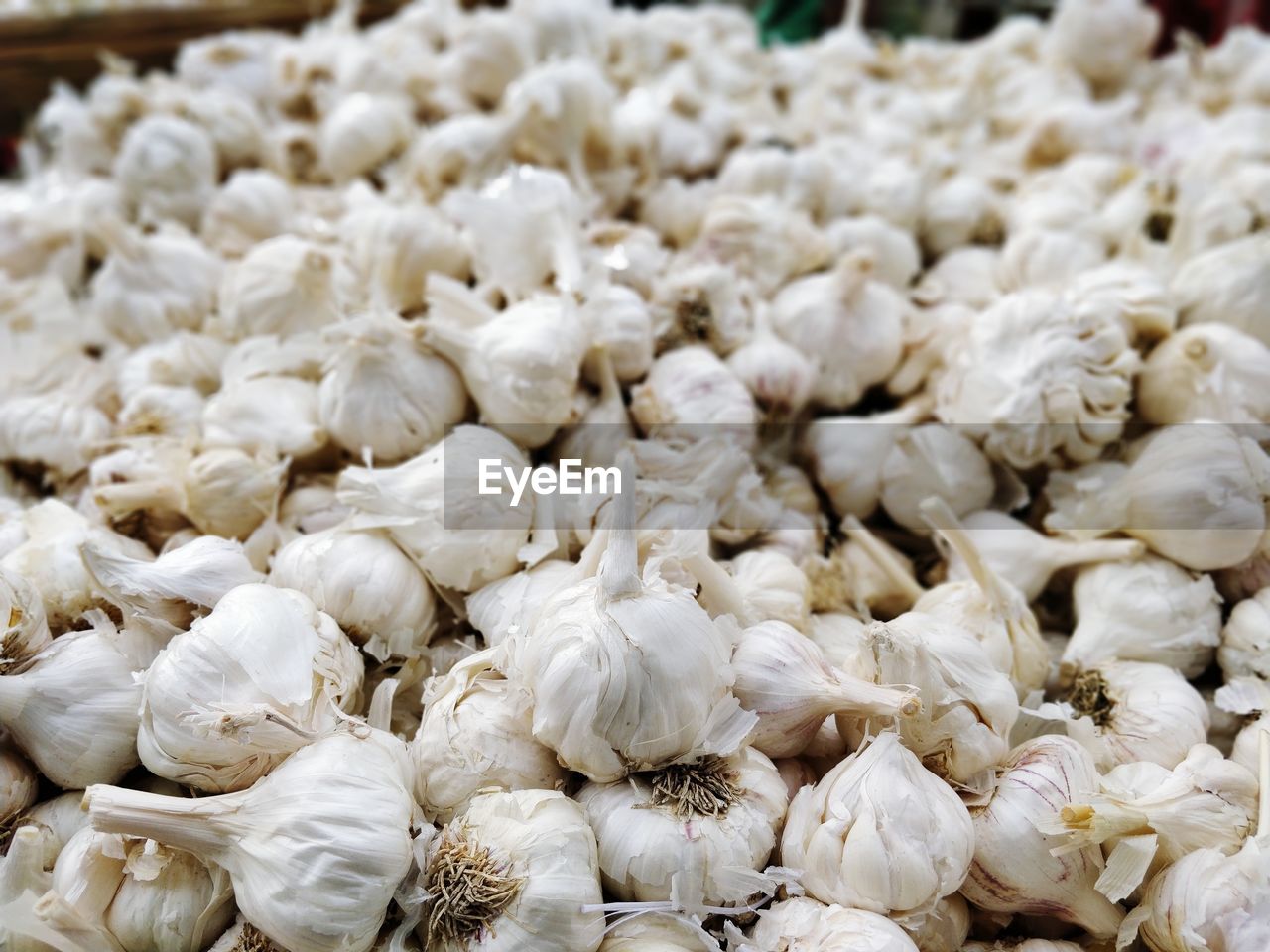 Full frame shot of white garlic for sale