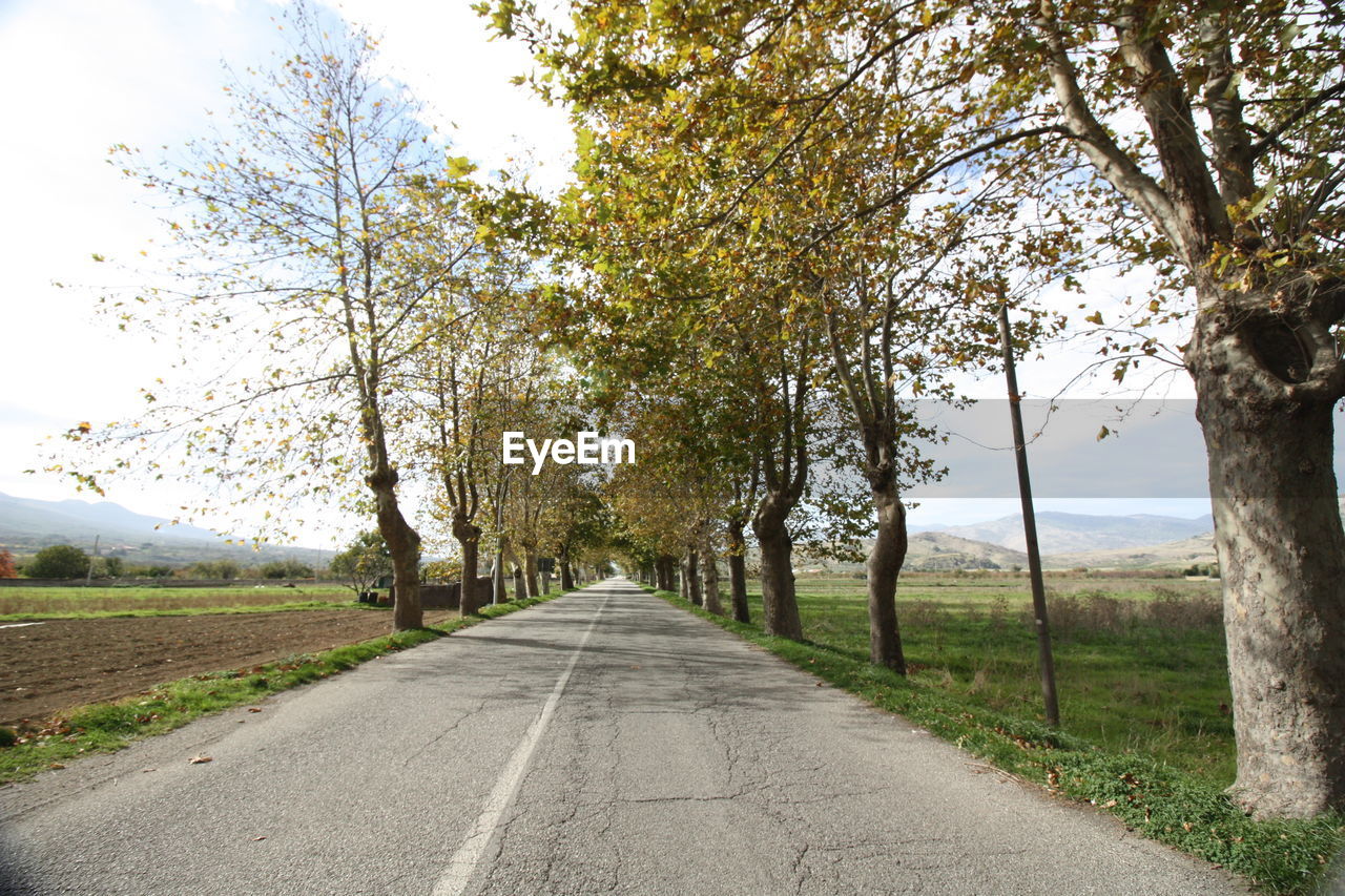 Empty road amidst trees against sky