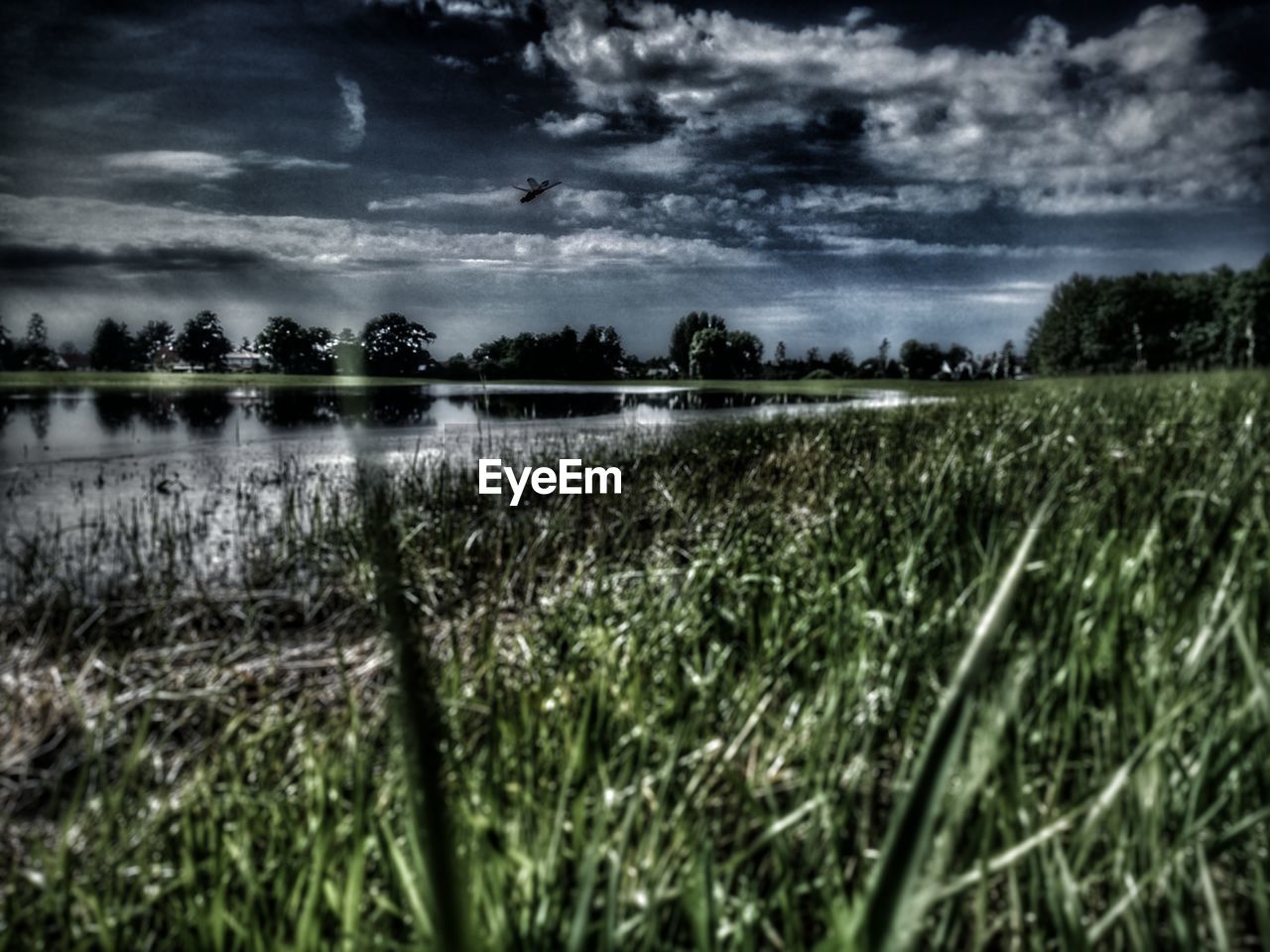 SCENIC VIEW OF LANDSCAPE AGAINST CLOUDY SKY