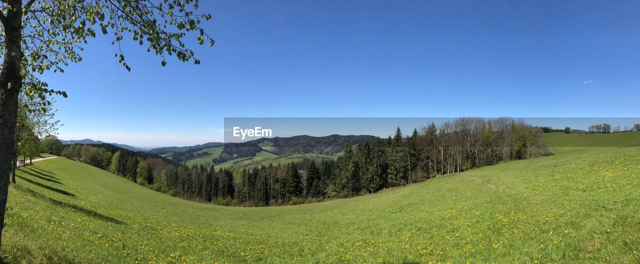 SCENIC VIEW OF GREEN LANDSCAPE AGAINST BLUE SKY