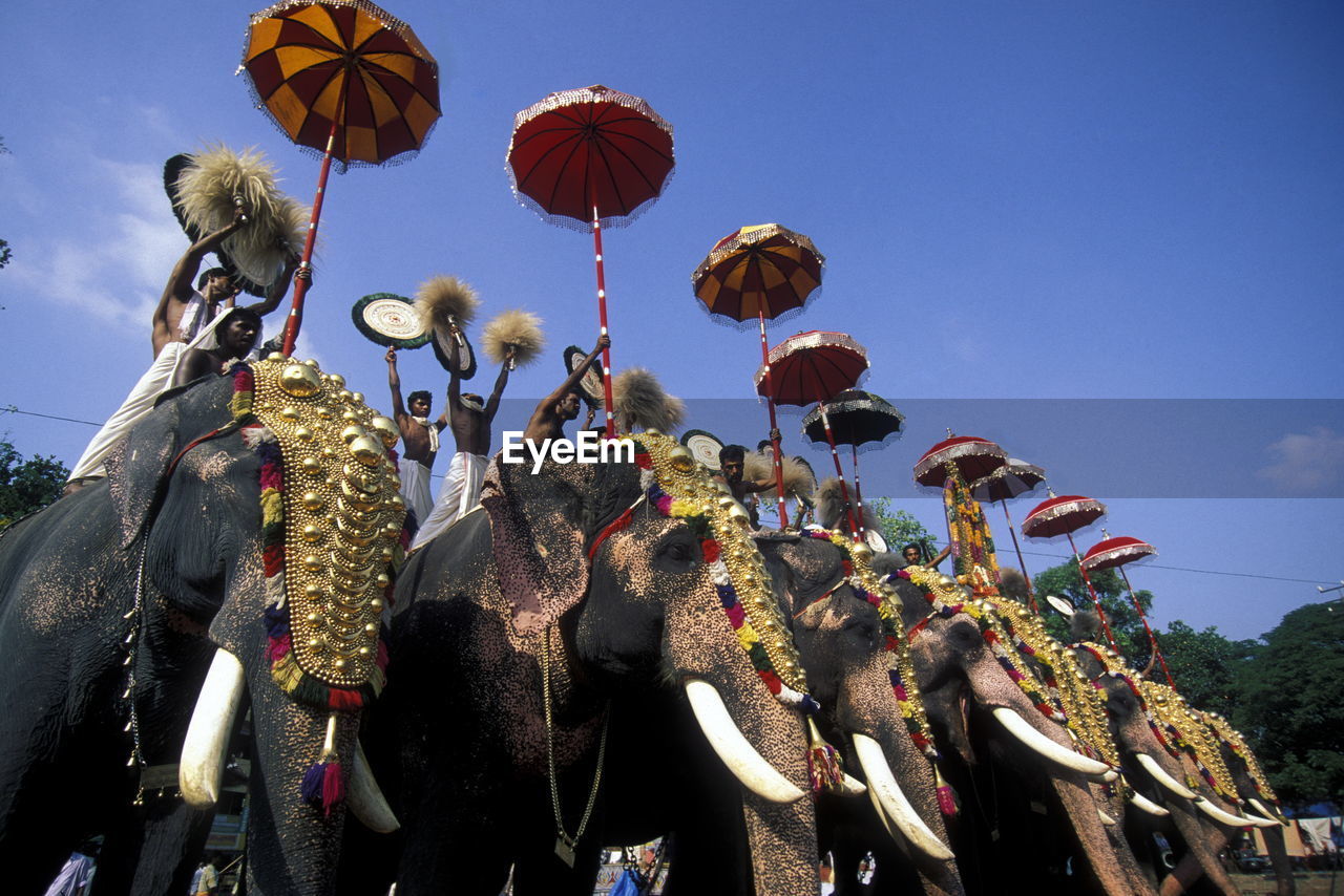 People sitting on royal elephants against sky