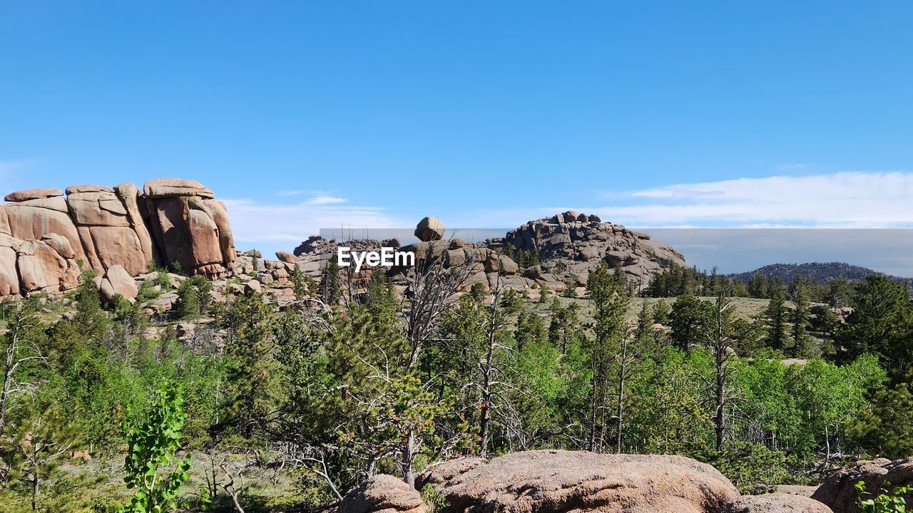 sky, rock, nature, plant, scenics - nature, environment, landscape, wilderness, mountain, travel destinations, beauty in nature, rock formation, land, no people, tree, travel, non-urban scene, blue, tranquility, outdoors, adventure, day, clear sky, tranquil scene, tourism, geology, walking, valley, sunny, park, cloud, natural environment, desert, animal wildlife, semi-arid, remote, sunlight