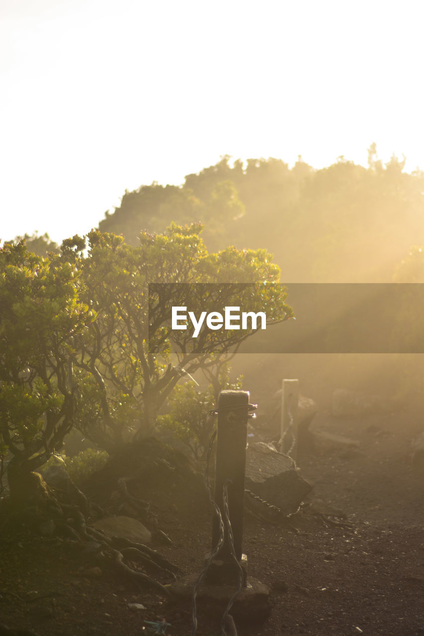 Golden sunrise at mount gede peak. mount gede pengrango national park