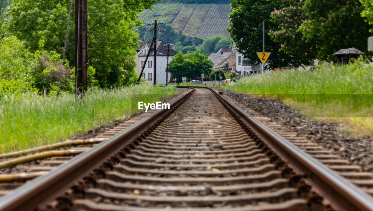 Railroad tracks by trees