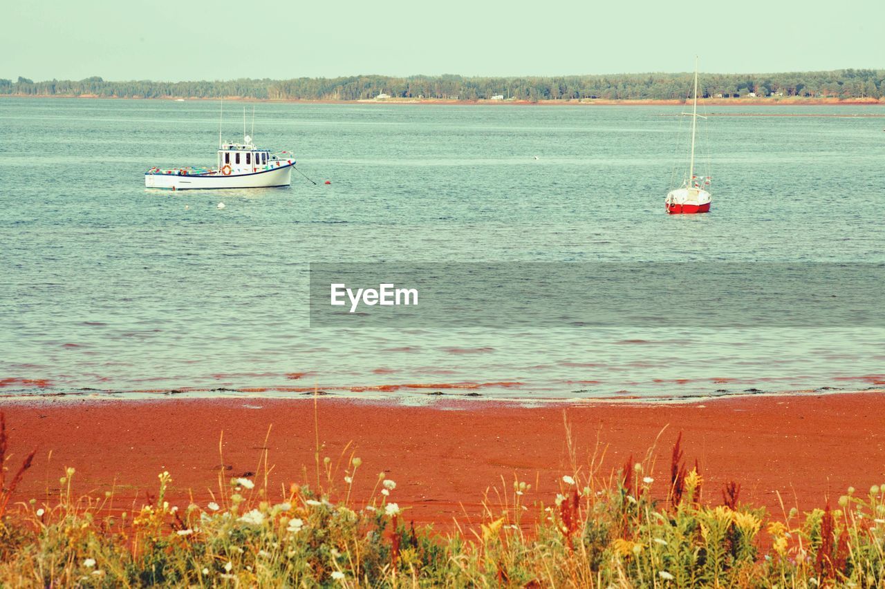 Scenic view of prince edward island