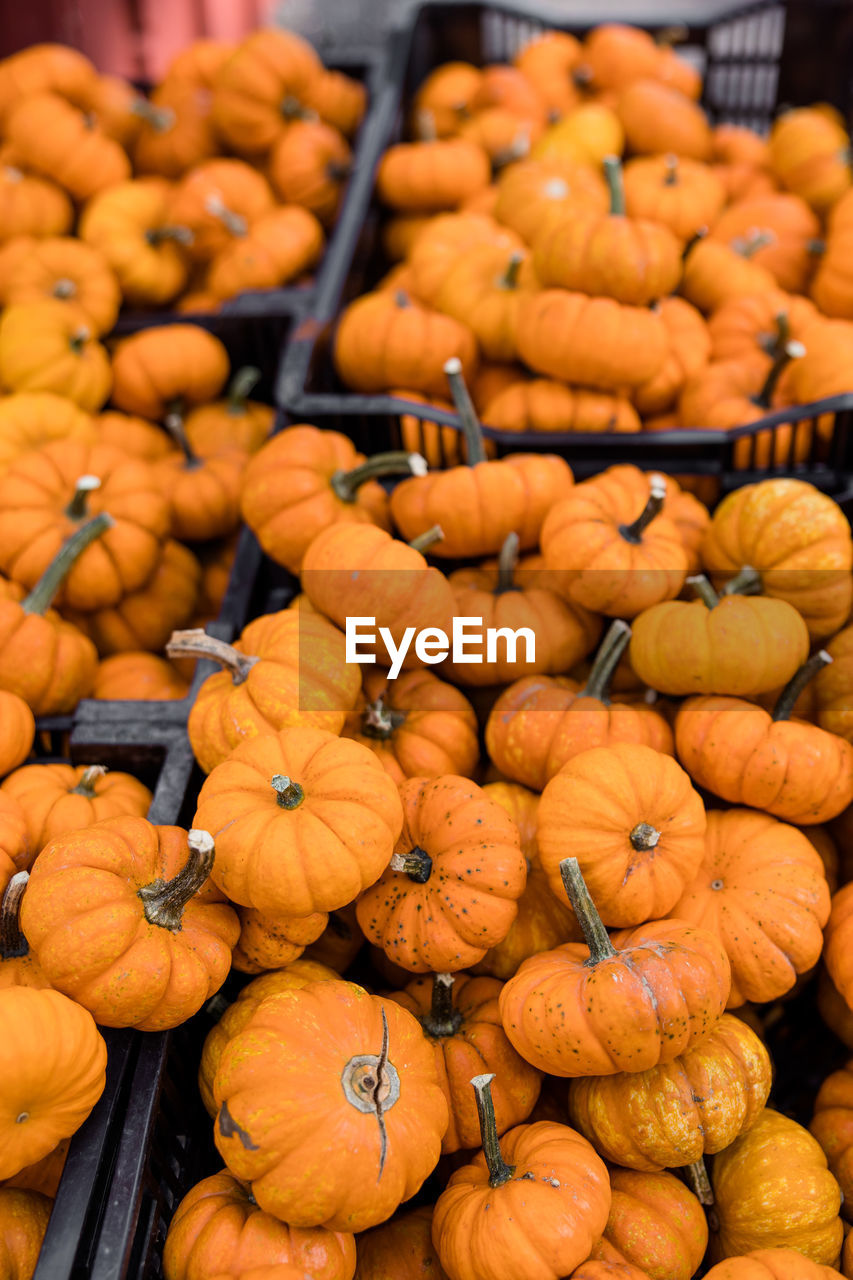 Full frame shot of pumpkin vegetables for sale at market stall