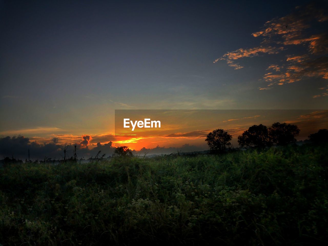 SILHOUETTE FIELD AGAINST SKY DURING SUNSET