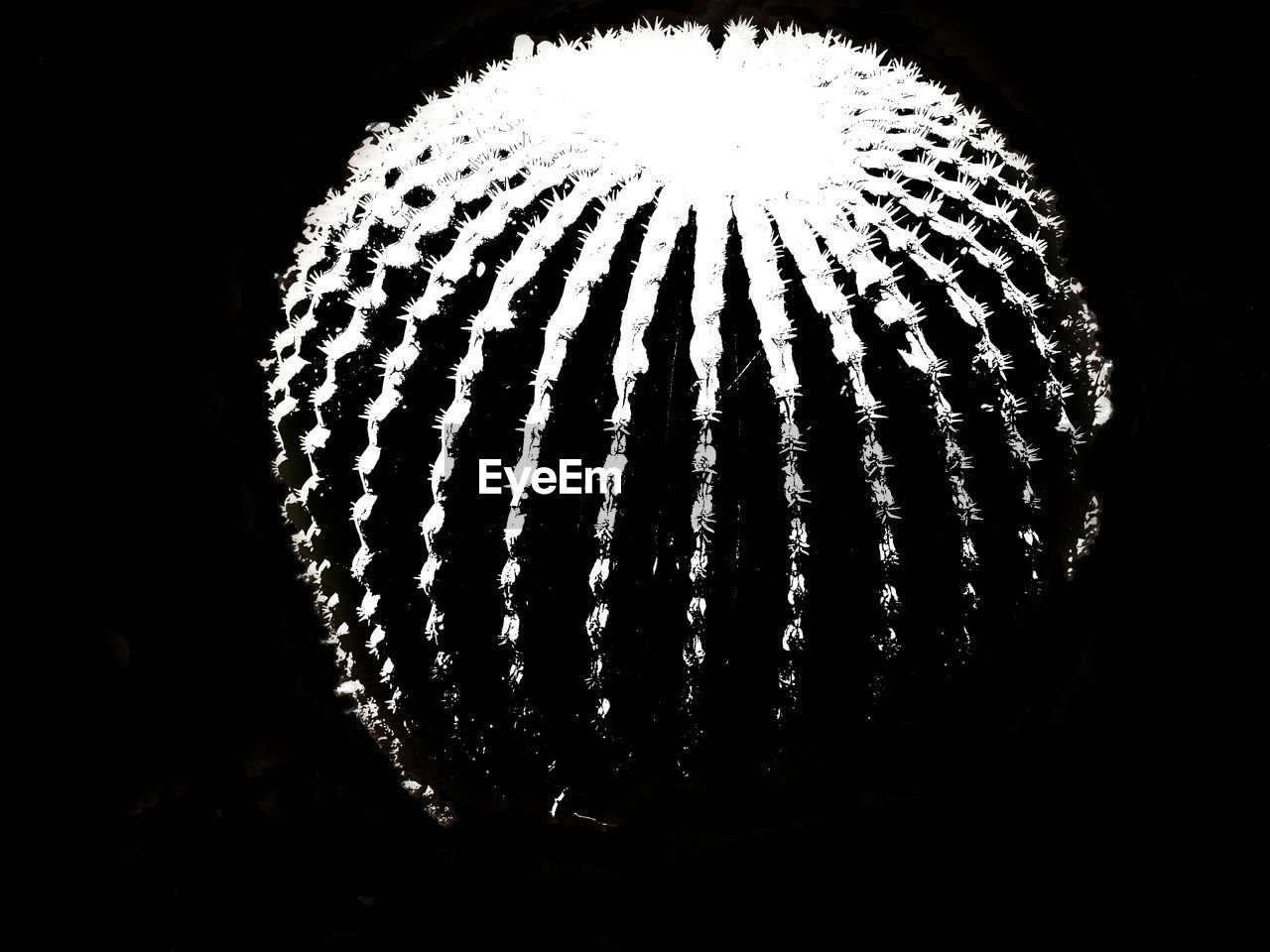 LOW ANGLE VIEW OF ILLUMINATED TUNNEL