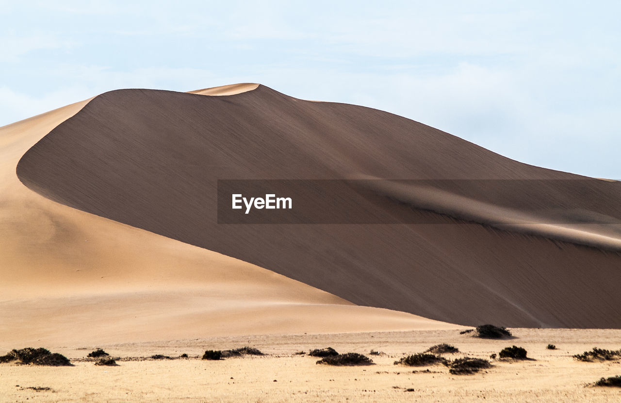 SCENIC VIEW OF SAND DUNES IN DESERT