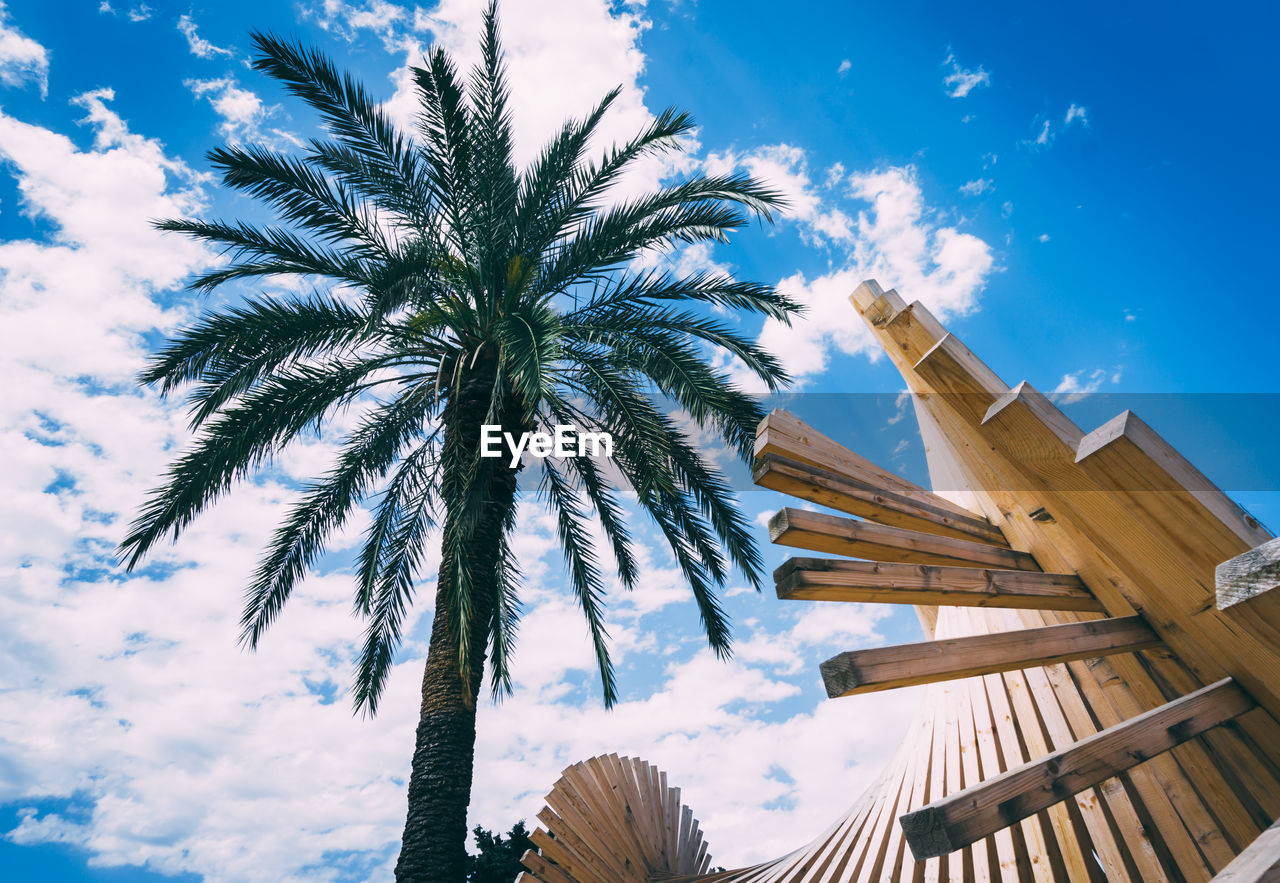 A palm tree with wooden structure in front and blue sky in the background.