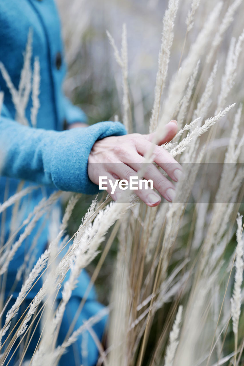 Midsection of woman touching plants