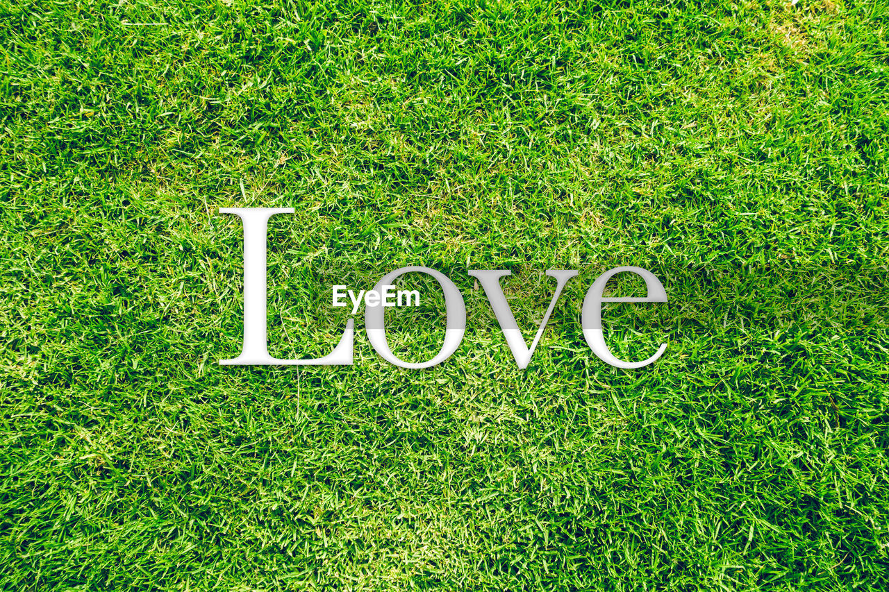 Directly above shot of love text on grass