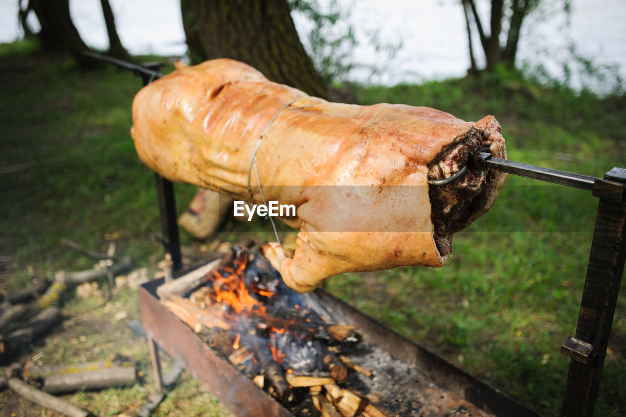 Pork roasting on fire in yard