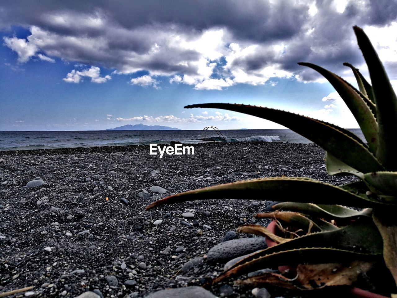 CLOSE-UP OF SEA SHORE AT BEACH AGAINST SKY