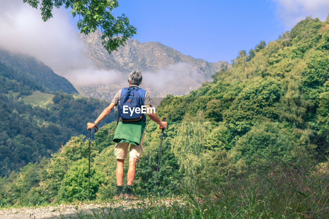 Middle age man walking in the mountain forest. male with backpack do hike in the nature. 