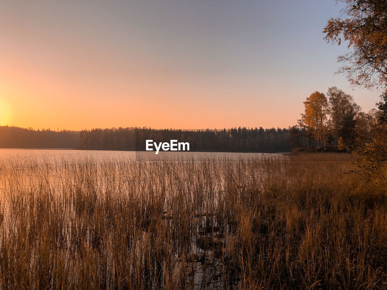 Scenic view of field against sky during sunset