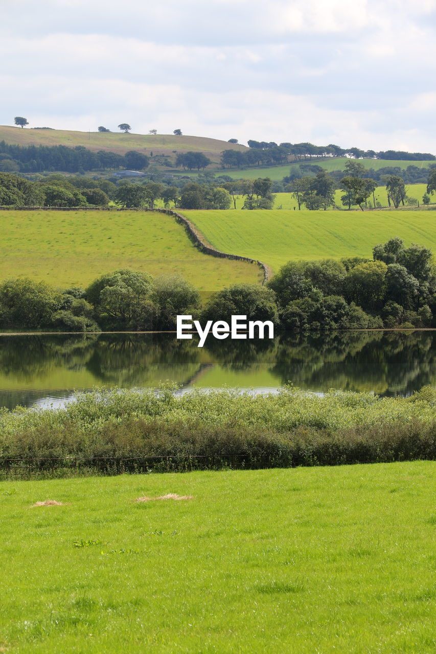 Scenic view of lake and field against trees 